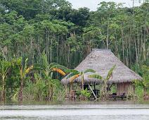 Langs Amazonas   Amazonas : Amazonas