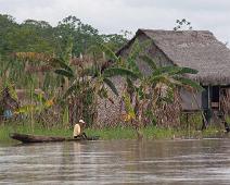 Langs Amazonas   Amazonas : Amazonas