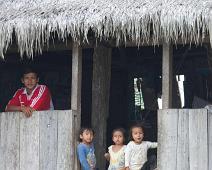Der Maranon og Ucayali river møtes   Amazonas, Grau : Amazonas, Grau