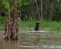 På vei til Nauta   Amazonas, Maranon river : Amazonas, Maranon river