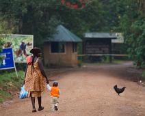 Bwindi, Uganda : Bwindi, Uganda