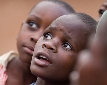 Bwindi, Uganda : Bwindi, Uganda
