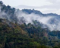 Bwindi, Uganda : Bwindi, Uganda
