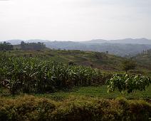 Uganda : Uganda