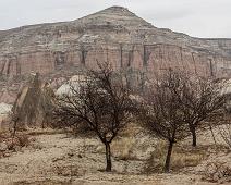 Nevsehir provins, Urgup : Nevsehir provins, Urgup