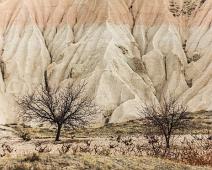 Nevsehir provins, Urgup : Nevsehir provins, Urgup