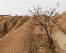 Nevsehir provins, Urgup : Nevsehir provins, Urgup
