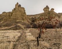 Nevsehir provins, Urgup : Nevsehir provins, Urgup