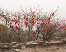 Beijing, Kina, Kinesiske mur : Beijing, Kina, Kinesiske mur