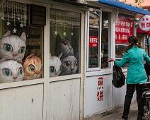 Beijing, Kina : Beijing, Kina