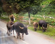 Kina, Yangshuo : Kina, Yangshuo