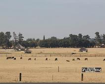 Busstur, Fra Johannesburg til Manyaleti, Kjøretøy, Sør-Afrika : Busstur, Fra Johannesburg til Manyaleti, Kjøretøy, Sør-Afrika