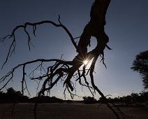 Namibia : Namibia