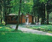 Volkov