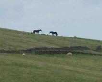 Hadrians mur, Housestead