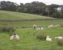 Hadrians mur, Housestead