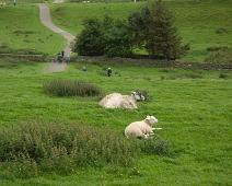 Hadrians mur, Housestead