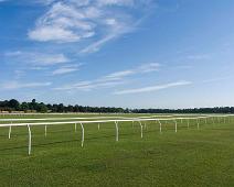 York Racecourse