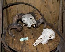I museet   Færøyene, Saksun : Færøyene, Saksun