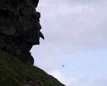 Steinanskt   Færøyene, Gjógv : Færøyene, Gjógv