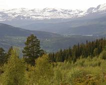 Eingangsfeltet