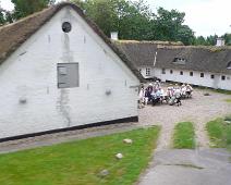 Ribe