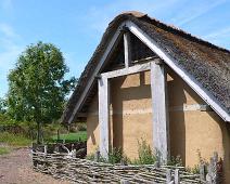 Ribe