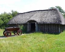 Ribe