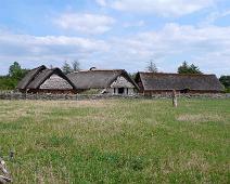 Ribe
