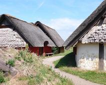 Ribe