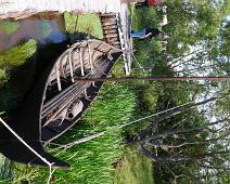 Ribe