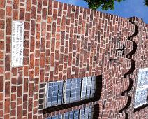 Ribe