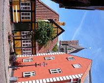 Ribe