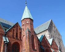 Ribe