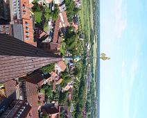 Ribe