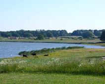 Hedeby