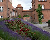 Viborg byvandring