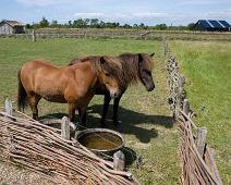 Ribe vikinglandsby