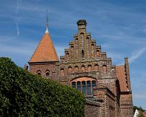 Ribe