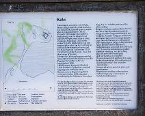 Kalø slottsruin Djursland