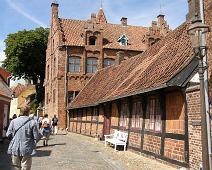 Ribe