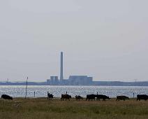 Kalø slottsruin Djursland