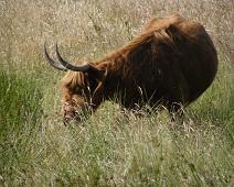 Hedeby