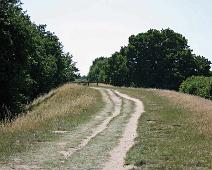29 Ringvollen ved Hedeby
