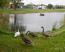 Fredrikstad, Gamlebyen : Fredrikstad, Gamlebyen