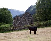 Glendalough, Irland : Glendalough, Irland