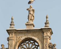 Ciconia ciconia, Leon, Spania, Stork, White Stork : Ciconia ciconia, Leon, Spania, Stork, White Stork