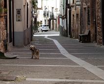 Covarrubias : Covarrubias