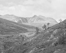 Rondane : Rondane