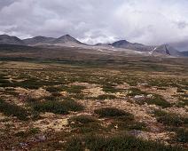 Rondane : Rondane